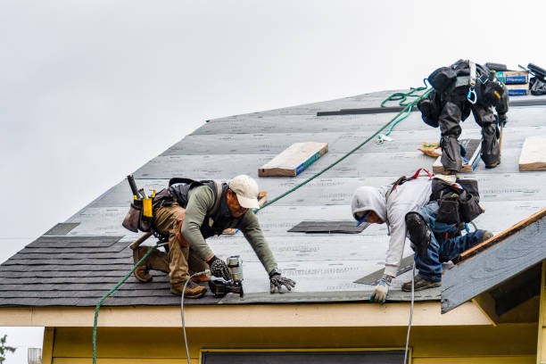 Professional Gutter Installation technician working in Telford, TN